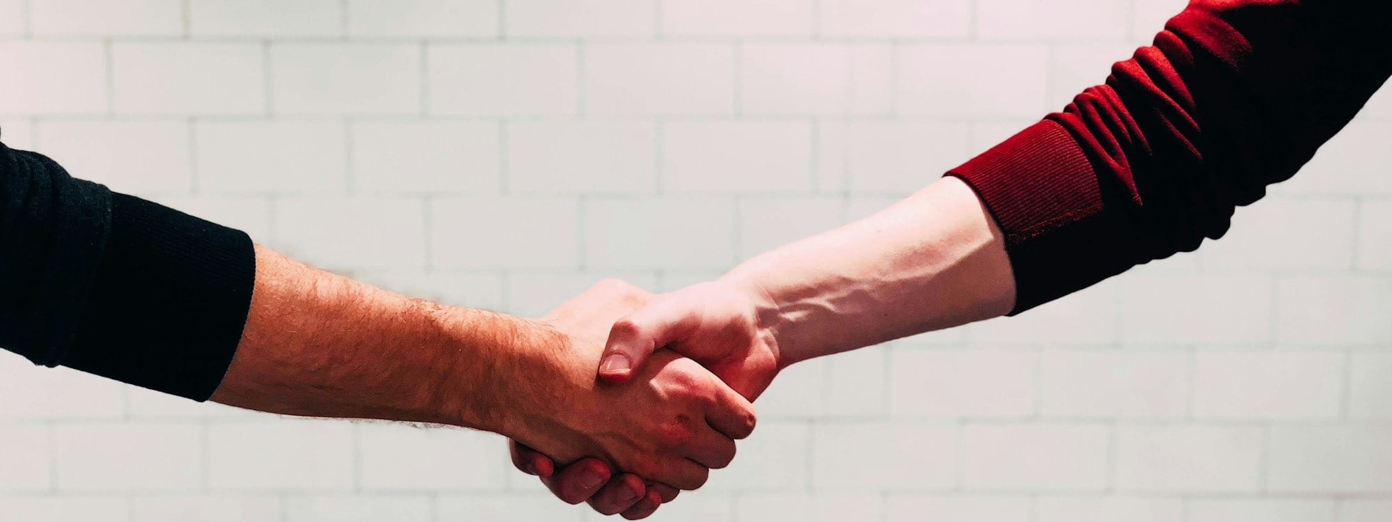 two person shaking hands near white painted wall